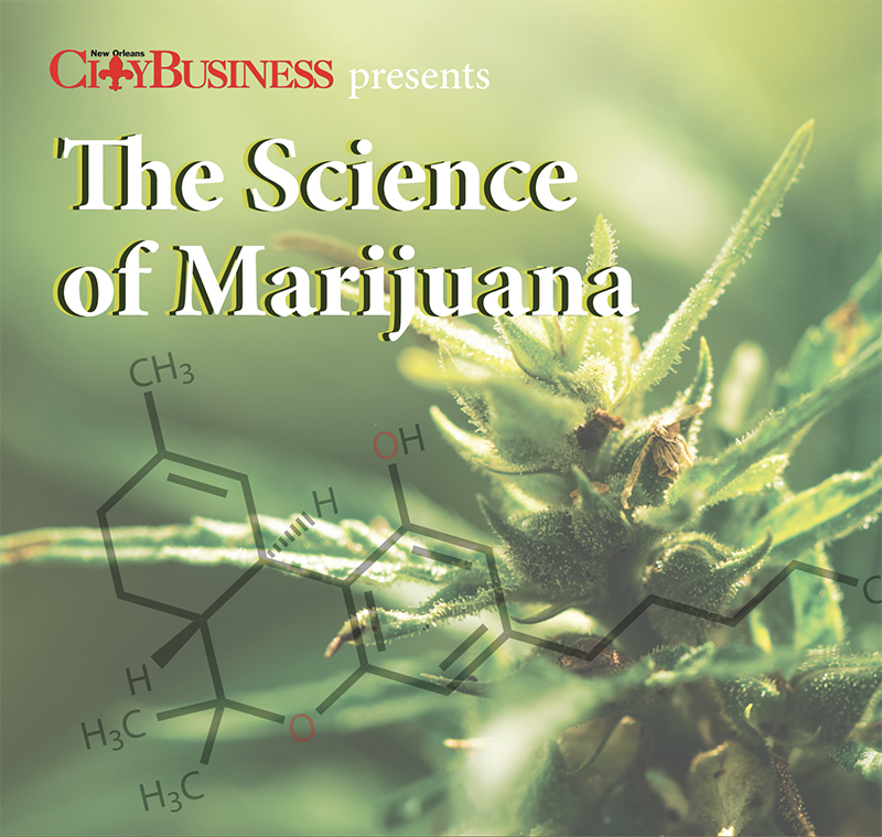 City Business presents The 2020 Science of Marijuana Round Table